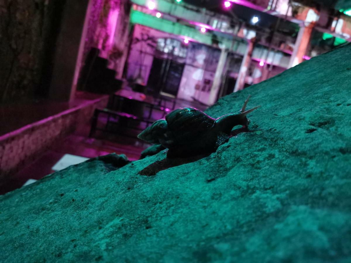 Bat & Arrow Hotel Padang  Luaran gambar